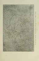 An illustration from Some hints on learning to draw (1893)