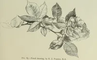 An illustration from Some hints on learning to draw (1893)