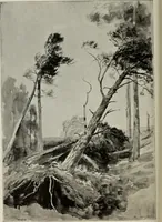 An illustration from Some hints on learning to draw (1893)