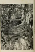 An illustration from Some hints on learning to draw (1893)