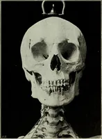 An illustration from Some hints on learning to draw (1893)