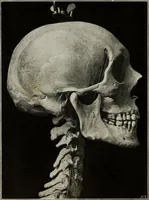 An illustration from Some hints on learning to draw (1893)
