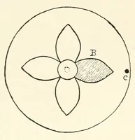 An illustration from Some modern conjuring; a series of original experiments in the magic art (1909)