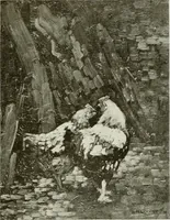 An illustration from Some of the moderns (1909)