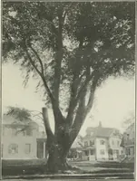 An illustration from Some old time meeting houses of the Connecticut Valley (1911)