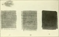 An illustration from Some points in choosing textiles (1917)