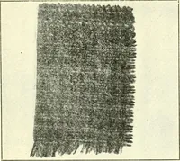 An illustration from Some points in choosing textiles (1917)