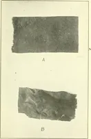 An illustration from Some points in choosing textiles (1917)