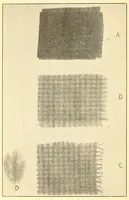 An illustration from Some points in choosing textiles (1912)