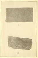 An illustration from Some points in choosing textiles (1912)