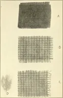An illustration from Some points in choosing textiles (1910)