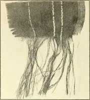 An illustration from Some points in choosing textiles (1910)
