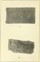 An illustration from Some points in choosing textiles (1910)