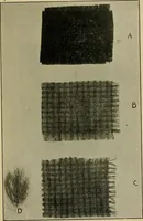 An illustration from Some points in choosing textiles (1917)