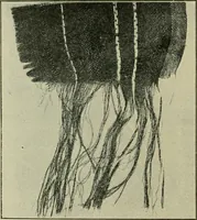 An illustration from Some points in choosing textiles (1917)