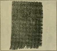 An illustration from Some points in choosing textiles (1917)