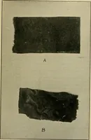 An illustration from Some points in choosing textiles (1917)