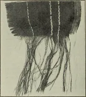 An illustration from Some points in choosing textiles (1910)