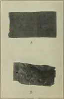 An illustration from Some points in choosing textiles (1910)