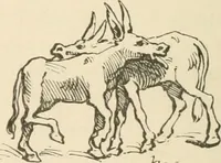 An illustration from Some practical hints on wood engraving for the instruction of reviewers and the public (1879)