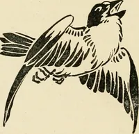 Picture 62 of 74 from Some principles of every-day art: introductory chapters on the arts not fine (1890), leaf 125