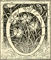 Picture 2 of 74 from Some principles of every-day art: introductory chapters on the arts not fine (1890), leaf 14