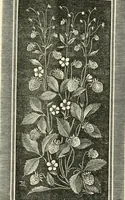 Picture 21 of 74 from Some principles of every-day art: introductory chapters on the arts not fine (1890), leaf 62
