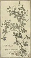 Picture 31 of 74 from Some principles of every-day art: introductory chapters on the arts not fine (1890), leaf 77