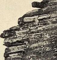 An illustration from Some successful Americans (1904)