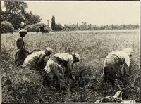 An illustration from Some successful Americans (1904)