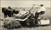 An illustration from Some successful Americans (1904)