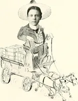 An illustration from Some Terre Haute phizes (1905)
