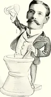 An illustration from Some Terre Haute phizes (1905)