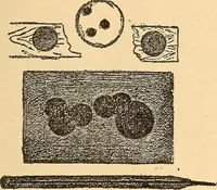 An illustration from Something about X rays for everybody (1896)