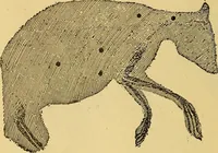 An illustration from Something about X rays for everybody (1896)