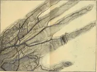 An illustration from Something about X rays for everybody (1896)