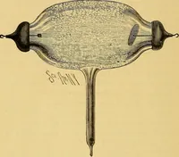 An illustration from Something about X rays for everybody (1896)