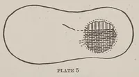Picture 2 of 11 from Something to do, -girls! A book for every girl (1916), leaf 26