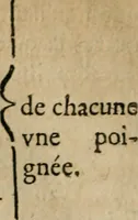 Picture 7 of 9 from Sommaire de la medecine chymique : où l'on void clairement beaucoup de choses que les autheurs ont tenuës iusques icy dans l'obscuritè : auec vn Recueil de diuers secrets de medecine (1632), leaf 233