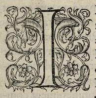 An illustration from Sommaire responce a l'Examen d'un heretique sur un discours de la loy Salique, faussemement pretendu contre la maison de France & la branche de Bourbon. (1587)