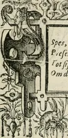 An illustration from Sommare beschrijuinghe vãde triumphelijcke incomst vanden doorluchtighen ende hooghgheboren aerts-hertoge Matthias : binnen die princelijcke stadt van Brussele : in t'iaer ons Heeren M.D.LXXVIII. den xviij dach Januarij : midtsgaders die tanneelen, poincten, figuren ende spectaculen, die inde voorseyde incompste (ter eeren van sijne doorluchticheyt) zijn verthoont ghevveest, met meer ander saken, die doen ter tijt gheschiet zijn (1579)