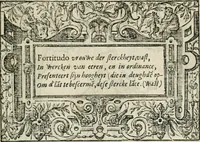 An illustration from Sommare beschrijuinghe vãde triumphelijcke incomst vanden doorluchtighen ende hooghgheboren aerts-hertoge Matthias : binnen die princelijcke stadt van Brussele : in t'iaer ons Heeren M.D.LXXVIII. den xviij dach Januarij : midtsgaders die tanneelen, poincten, figuren ende spectaculen, die inde voorseyde incompste (ter eeren van sijne doorluchticheyt) zijn verthoont ghevveest, met meer ander saken, die doen ter tijt gheschiet zijn (1579)