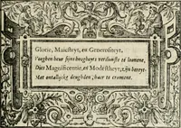 An illustration from Sommare beschrijuinghe vãde triumphelijcke incomst vanden doorluchtighen ende hooghgheboren aerts-hertoge Matthias : binnen die princelijcke stadt van Brussele : in t'iaer ons Heeren M.D.LXXVIII. den xviij dach Januarij : midtsgaders die tanneelen, poincten, figuren ende spectaculen, die inde voorseyde incompste (ter eeren van sijne doorluchticheyt) zijn verthoont ghevveest, met meer ander saken, die doen ter tijt gheschiet zijn (1579)