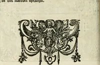 An illustration from Sommare beschrijuinghe vãde triumphelijcke incomst vanden doorluchtighen ende hooghgheboren aerts-hertoge Matthias : binnen die princelijcke stadt van Brussele : in t'iaer ons Heeren M.D.LXXVIII. den xviij dach Januarij : midtsgaders die tanneelen, poincten, figuren ende spectaculen, die inde voorseyde incompste (ter eeren van sijne doorluchticheyt) zijn verthoont ghevveest, met meer ander saken, die doen ter tijt gheschiet zijn (1579)
