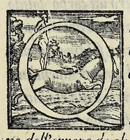 An illustration from Sommario di tutte le scientie (1556)