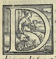 An illustration from Sommario di tutte le scientie (1556)