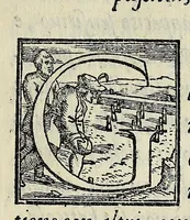 An illustration from Sommario di tutte le scientie (1556)