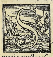 An illustration from Sommario di tutte le scientie (1556)