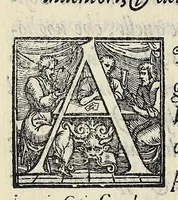 An illustration from Sommario di tutte le scientie (1556)