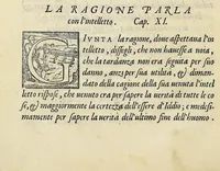 Picture 4 of 14 from Sommario di tutte le scientie (1556), leaf 80